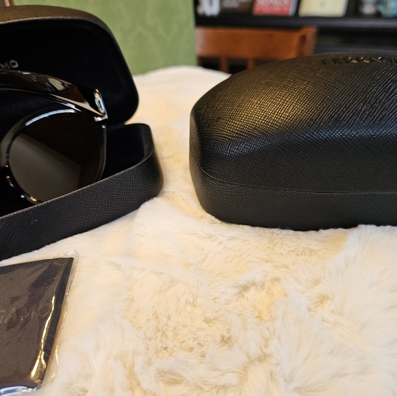 Salvatore Ferragamo SF1031S-001 53mm - Picture 9 of 12